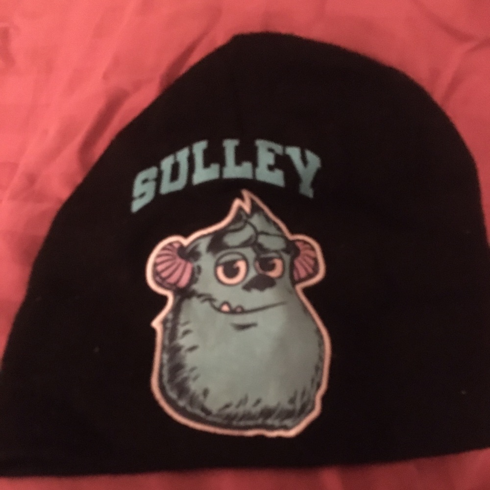 ⭐️5 for $25⭐️Child’s Sully winter hat!